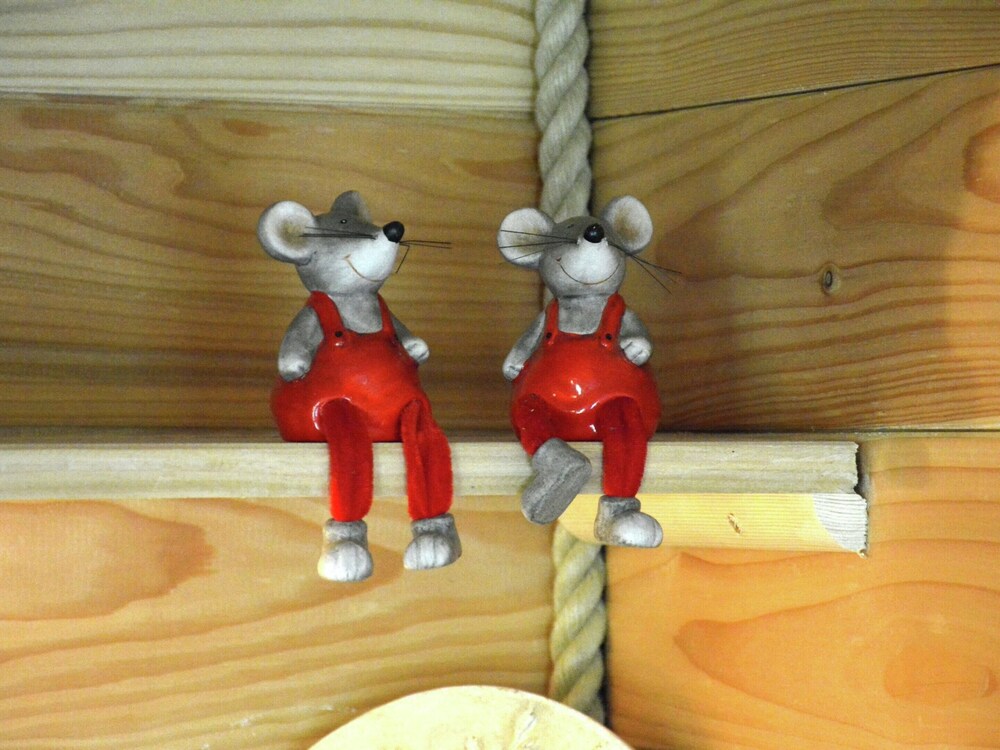 Photo 14