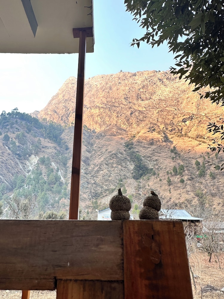 Boho Grove Cafe and Stay