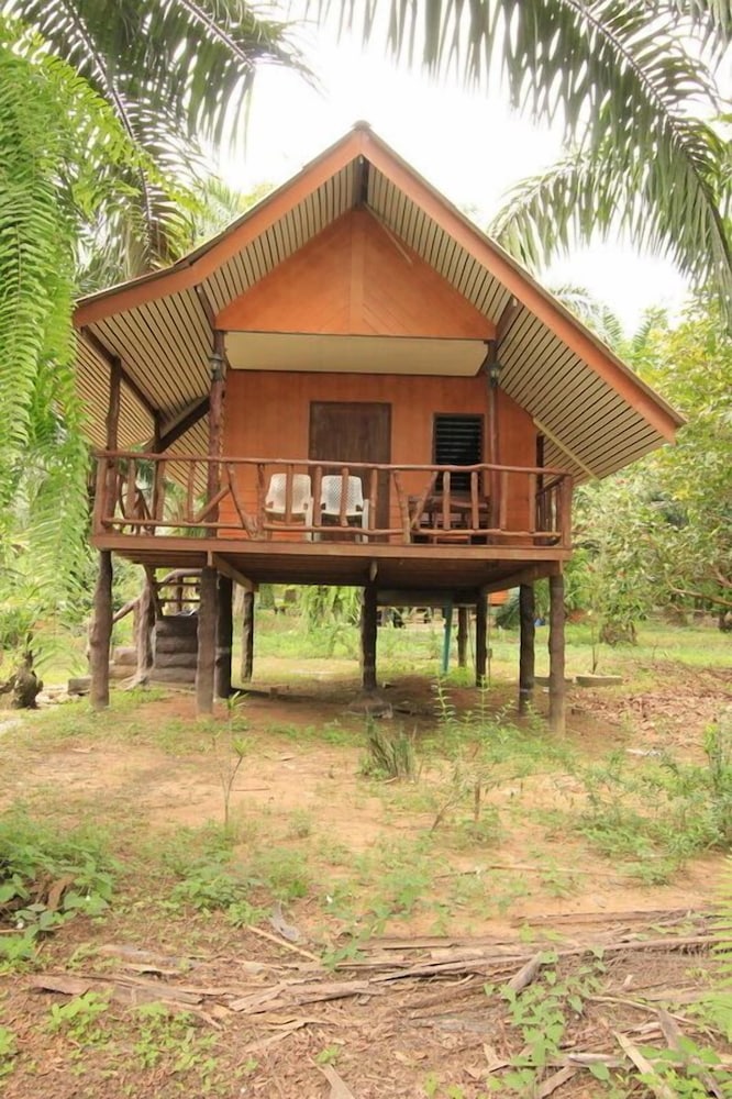 Khaosok Palmview