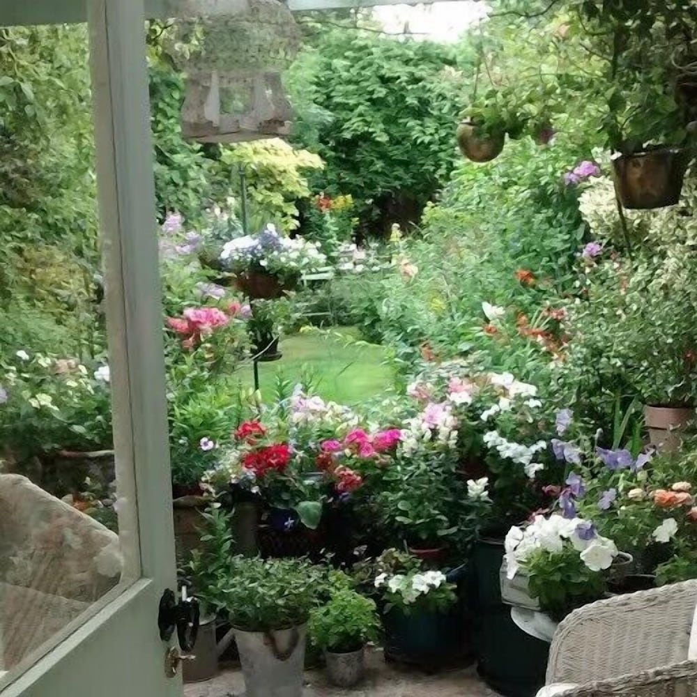 Arts & Bichons B&B