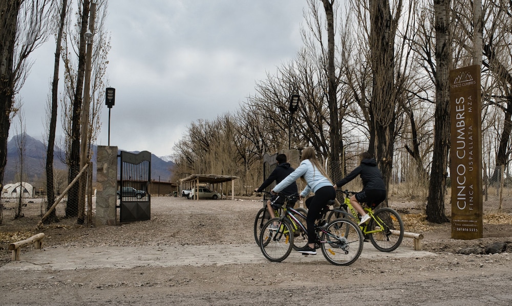 Cinco Cumbres luxury Camp & Eco Lodge