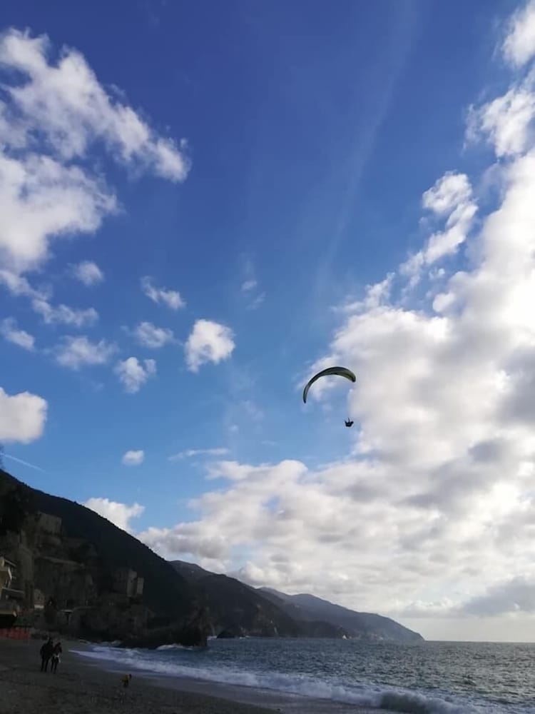 Lecci Di Soviore