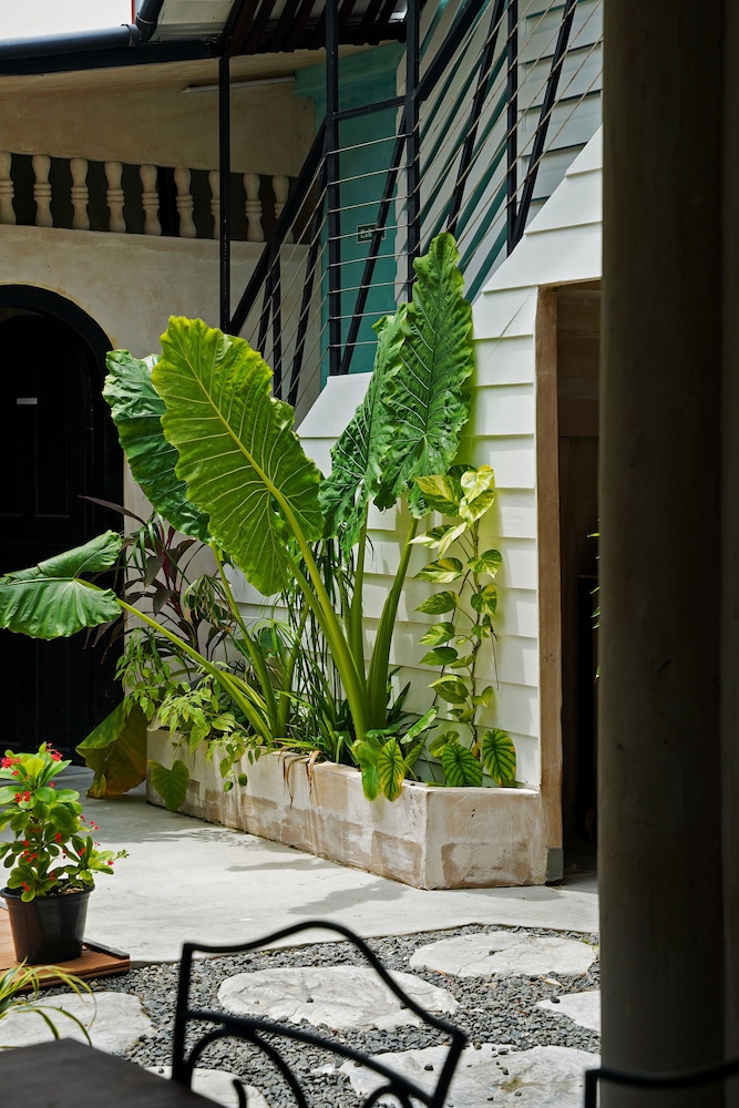 Zinnia Villa