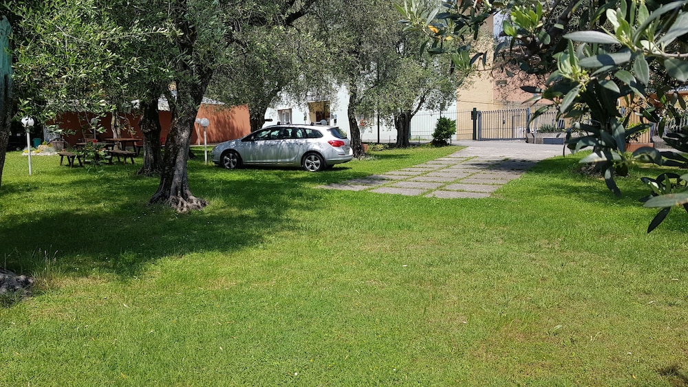 Photo 11