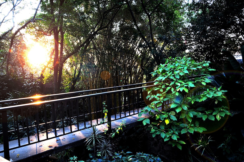 Lost Trail Bed and Breakfast