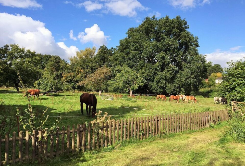 Pfarrhof Stuer