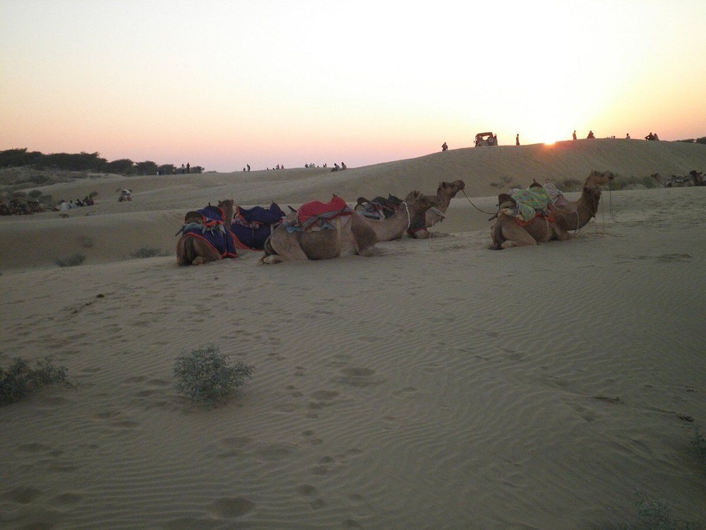 SAM DESERT RESORT