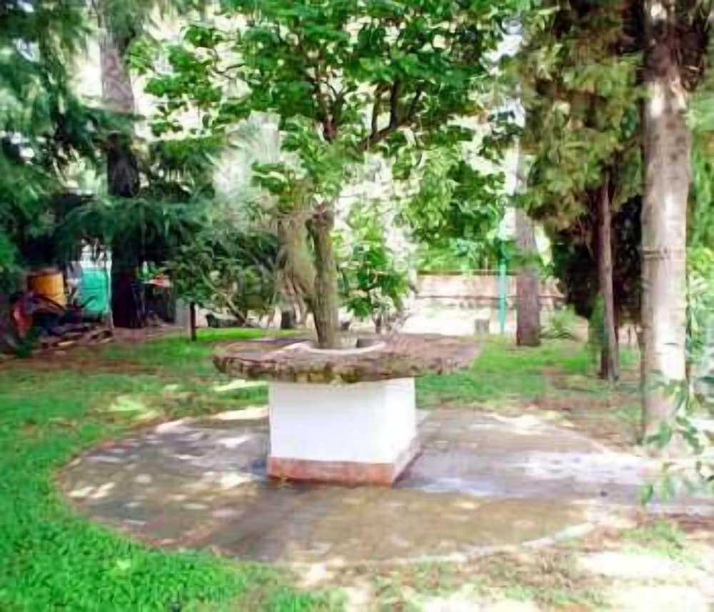 Photo 29