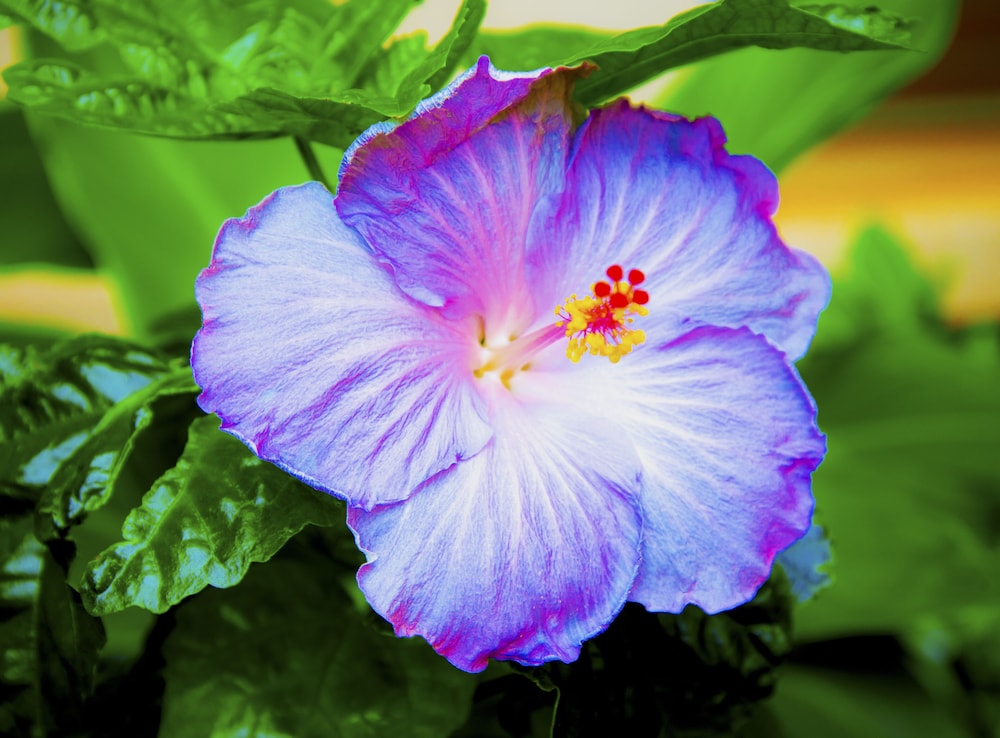 Royal Kahana 318 Studio Bedroom Condo by RedAwning - Image 5