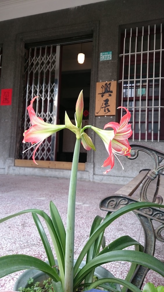 The Vintage Maison Tainan