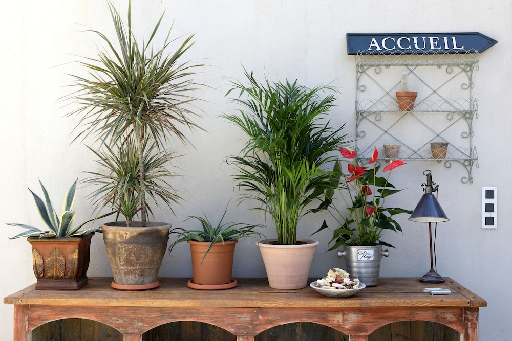 Orange Vacations - Justin de Provence - Property Image 60