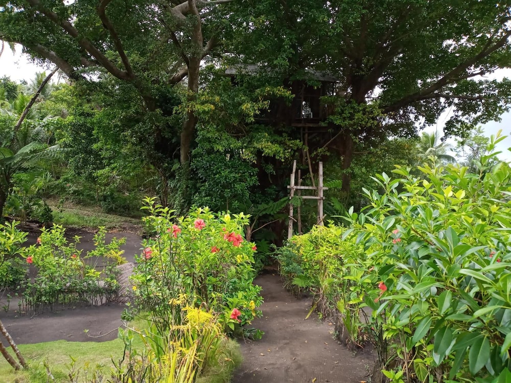 Castle Tree House