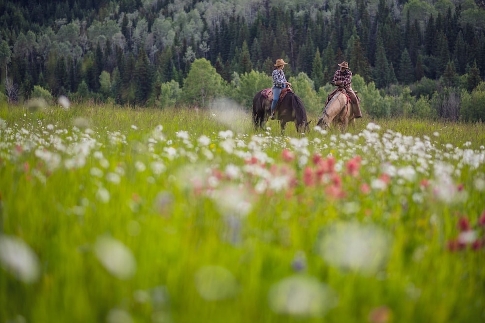 Montana Hill Guest Ranch