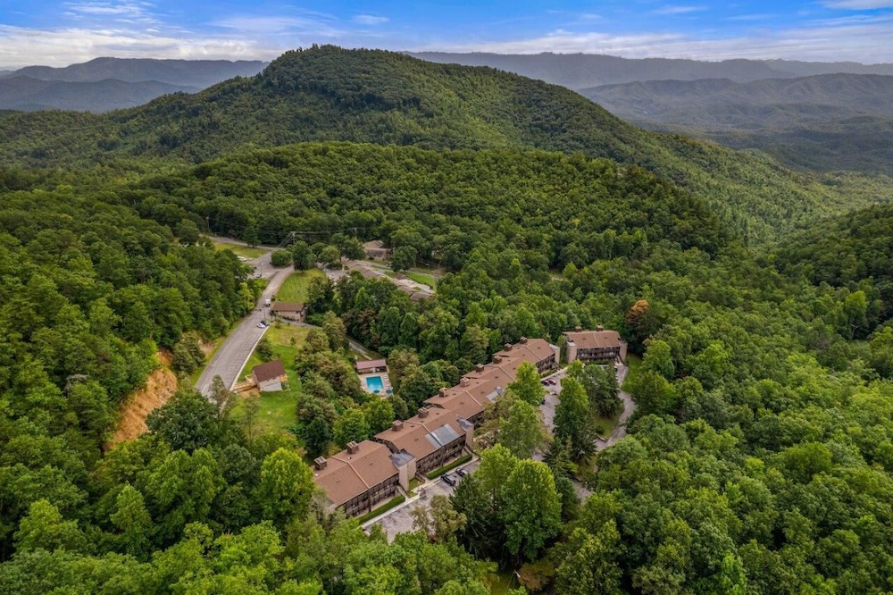Bearadise Mountain Getaway view 2