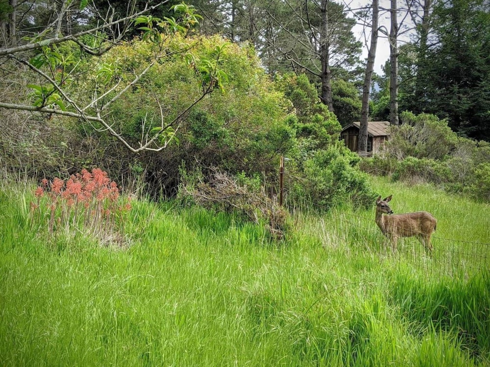 The Quail s Nest Retreat