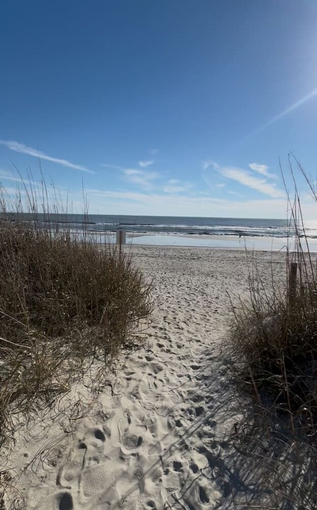 Seaglass Scapes in Oak Island
