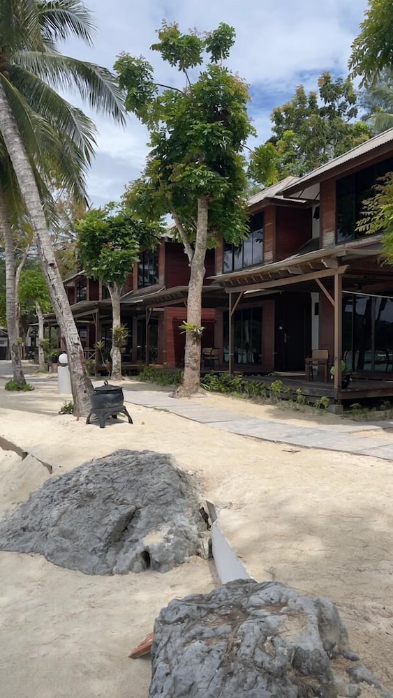 Arwana Perhentian Bluestar