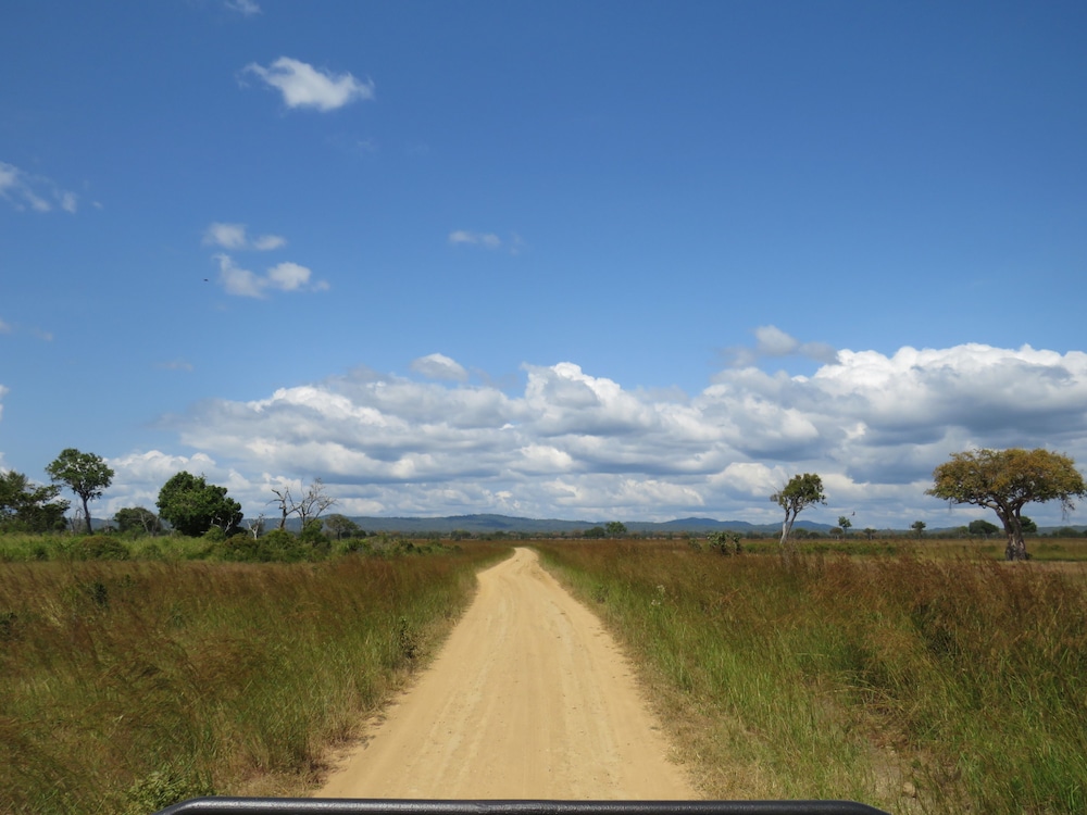 Mikumi Wildlife Camp
