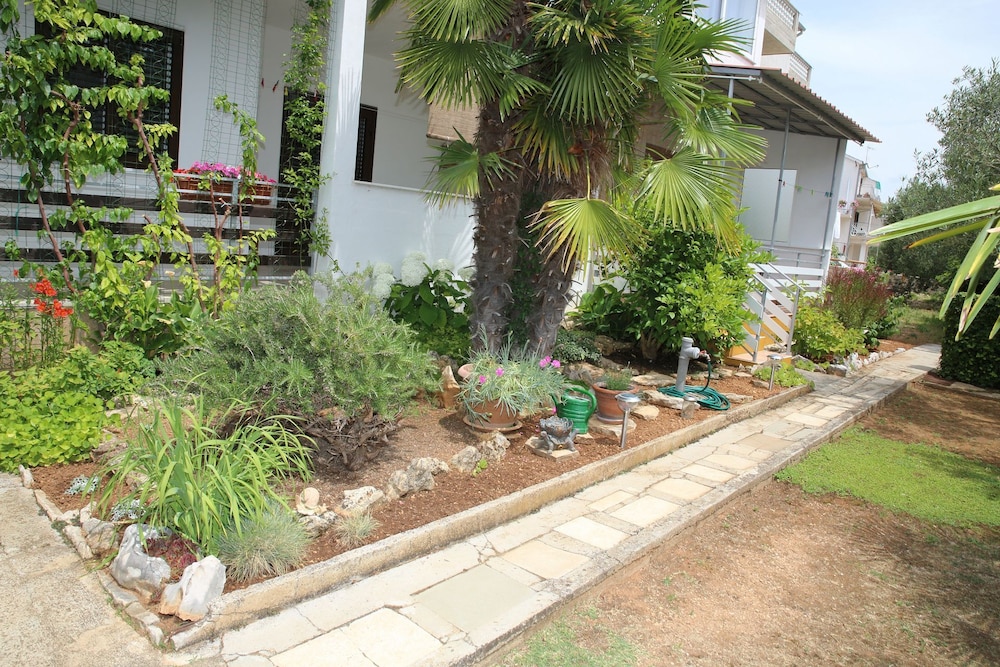 Photo 20
