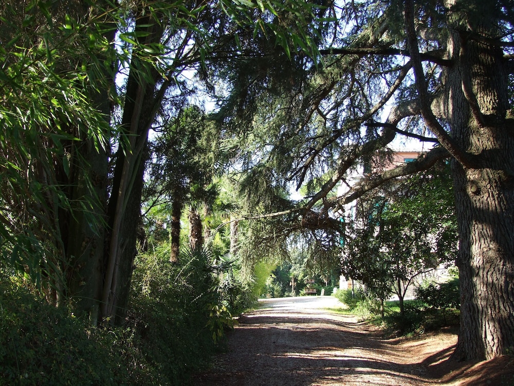 Photo 41