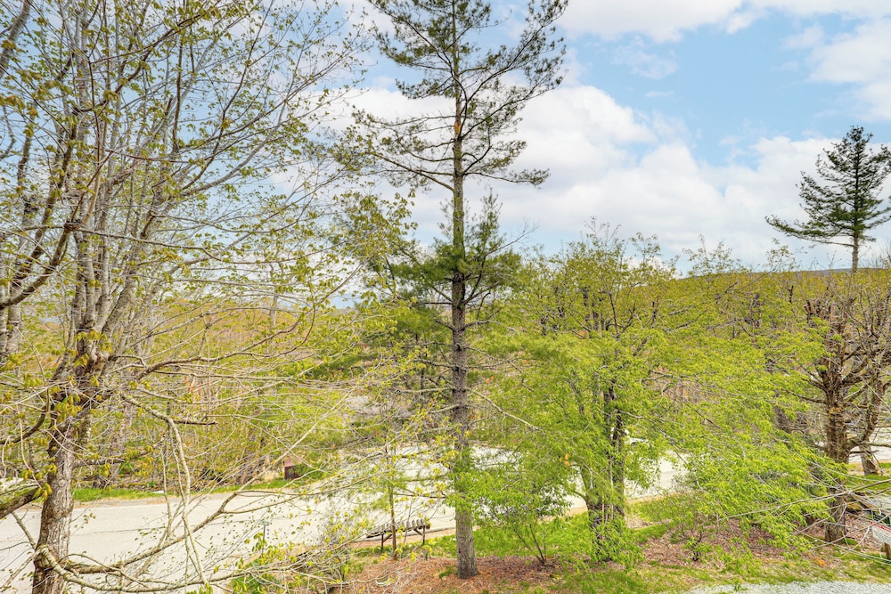 Walk to Hiking & Skiing: Beech Mountain Condo