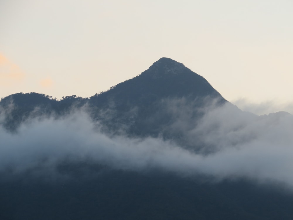 Cottage Orange House Yakushima