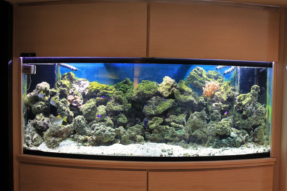 Niagara-on-the-Lake Vacations - The Shaw Club Hotel - Property Image 47