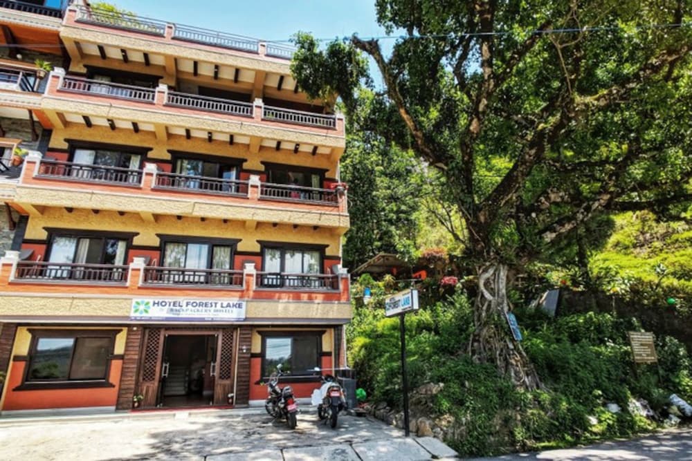 Hotel Forest Lake Backpackers' Hostel