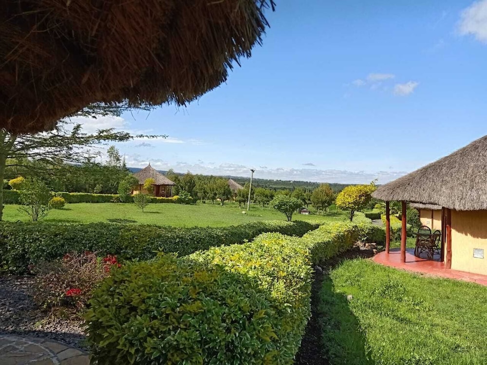 Blue Zone Kenya Resorts and Game Drives