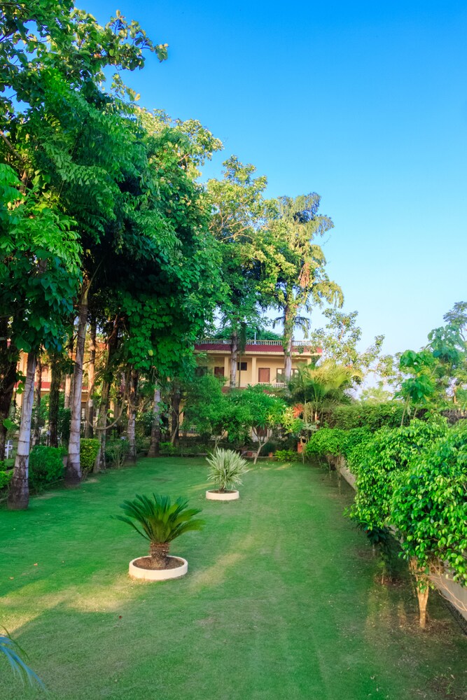 Hotel Rainforest