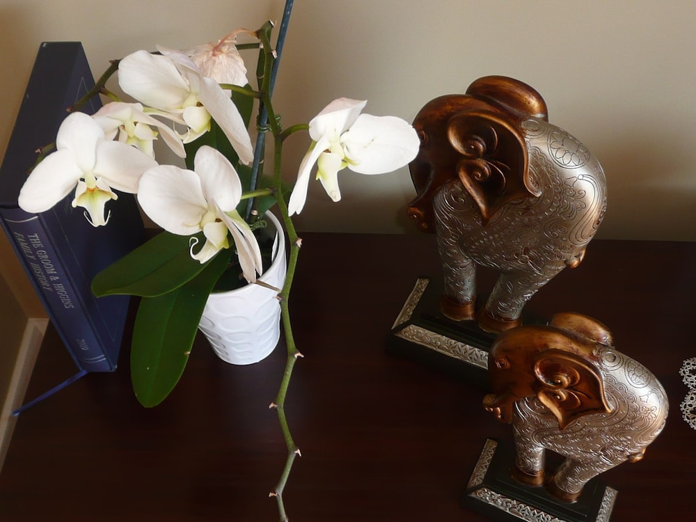 Photo 45