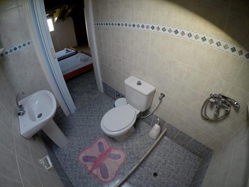 Photo 41
