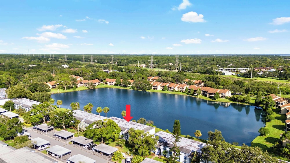 Modern Lakeside Condo 2 Bed, 2 Bath Oldsmar, FL