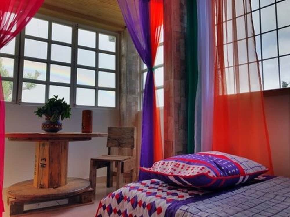 The Lost Leprechaun Ecohostel