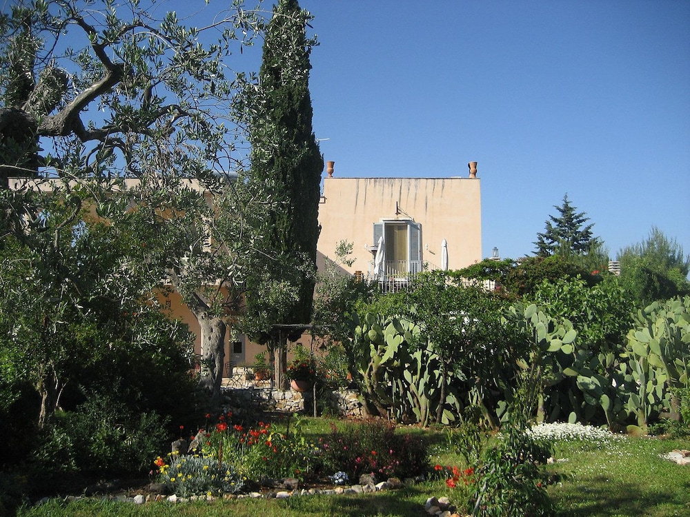 Photo 39