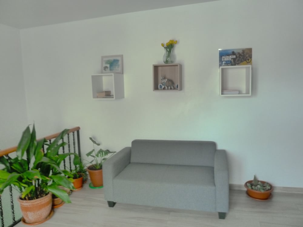 Hostal y apartamentos Casa Fermina view 5