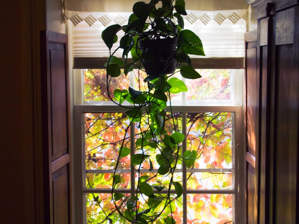 The Stagecoach Inn Bed & Breakfast and Five20 Social Stop