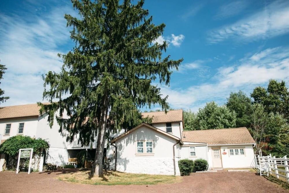 Ash Mill Farm Bed & Breakfast