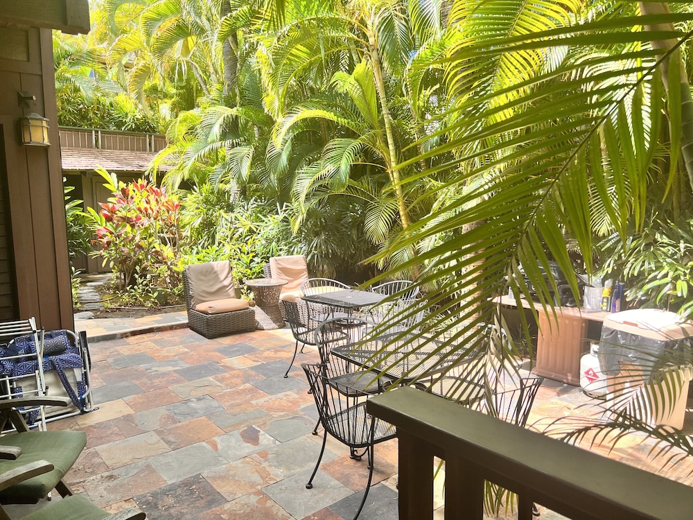 Papaya Suite view 2