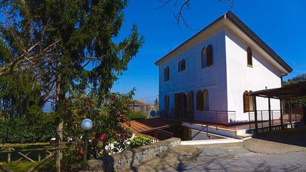Photo 29