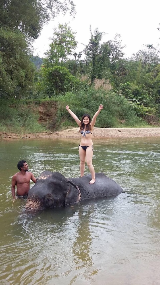 Khao Sok Secret - Hostel