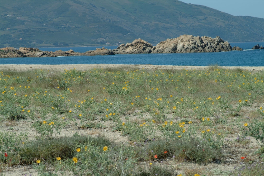 Photo 44