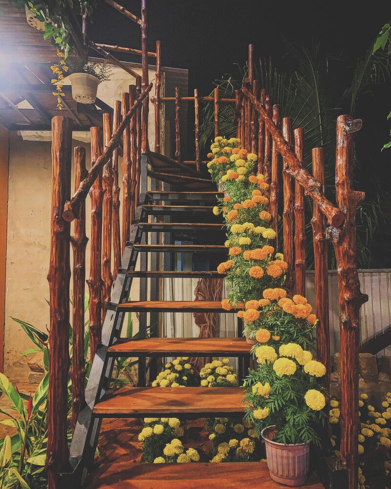 LoiLoi's home