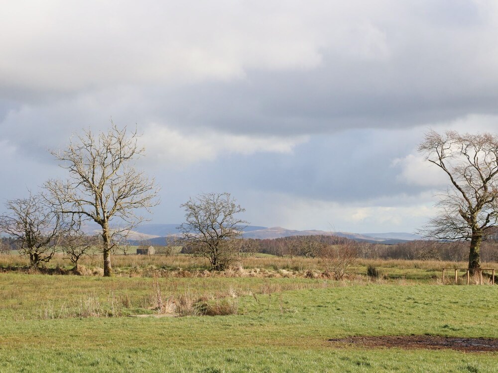 Austwick