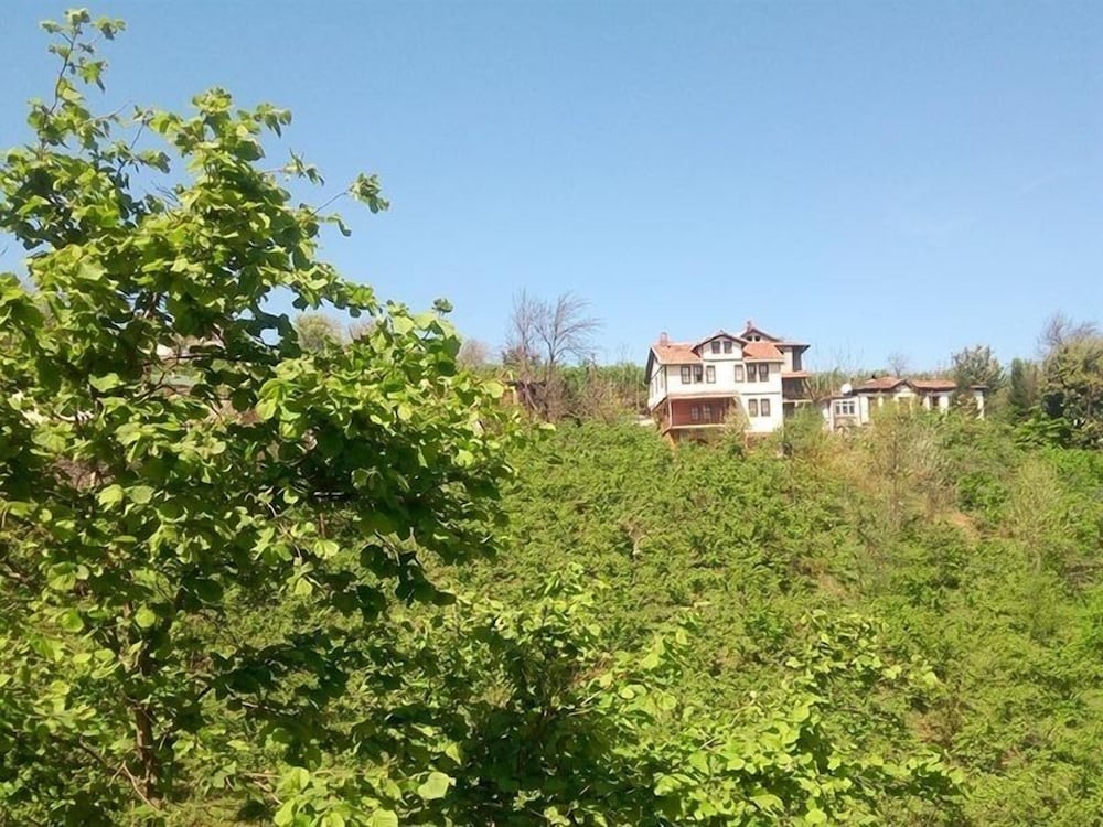 Zaga Konagi, photo 13