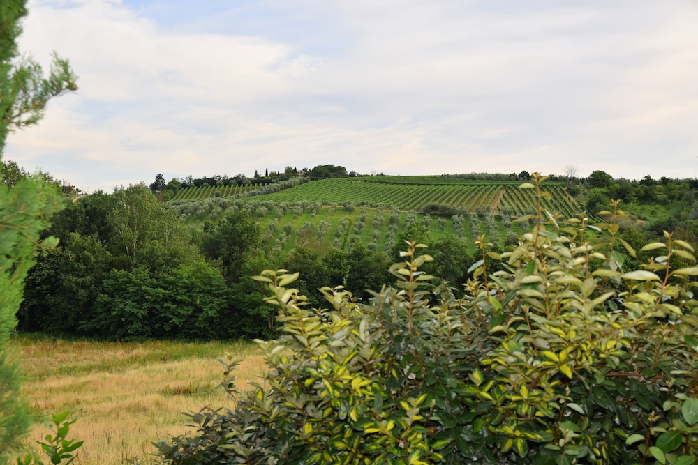 Tenuta Le Colonie