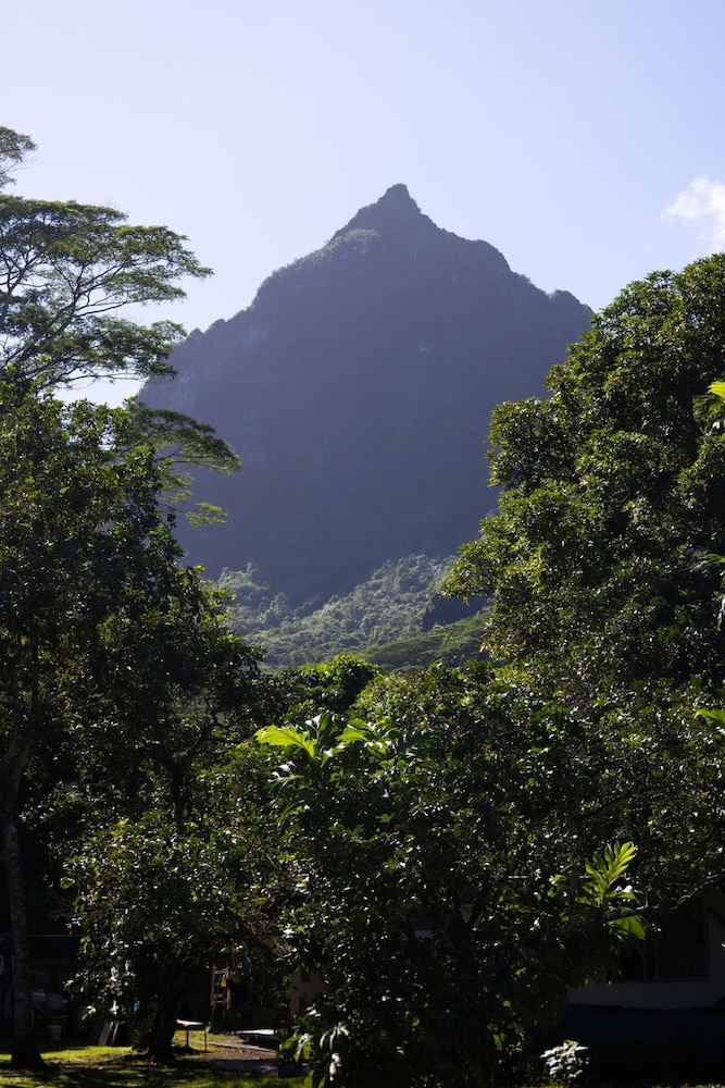 Fare Miri Miri in Moorea-maiao