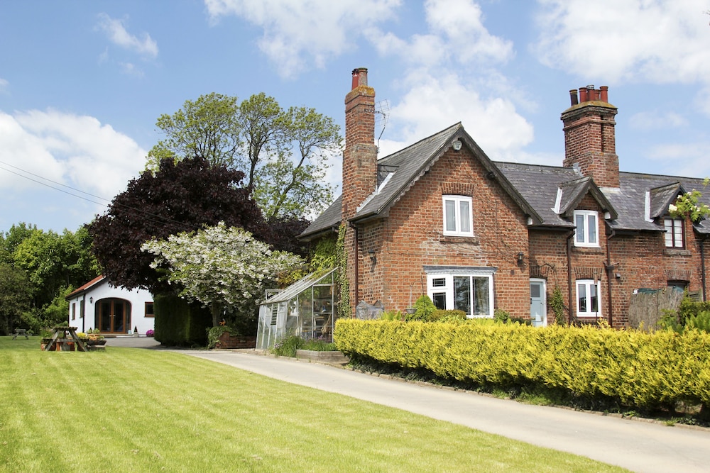 Brush and Boot B&B