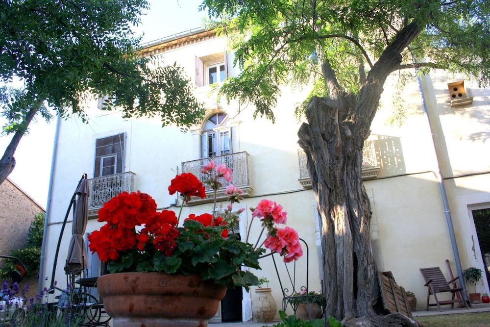 Photo 41
