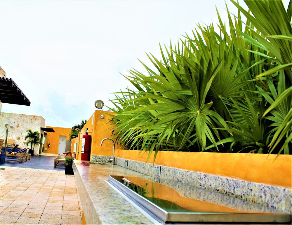 roof